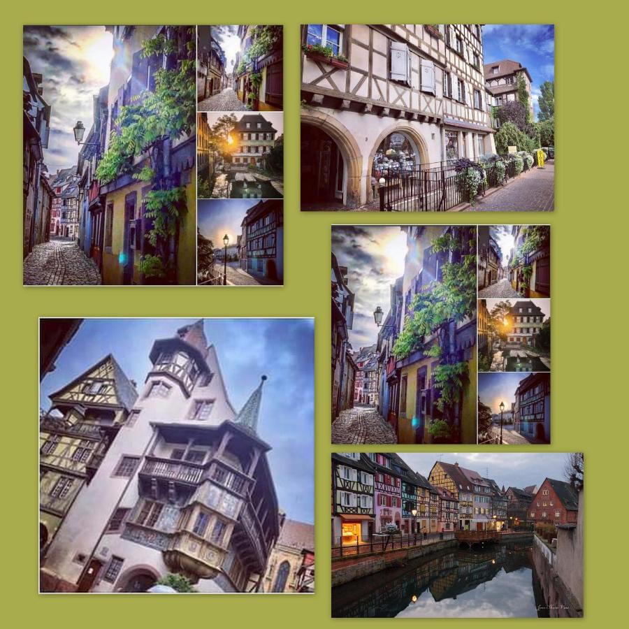 N¨°1 Schongauer Gite De Charme Centre Touristique Colmar Bagian luar foto
