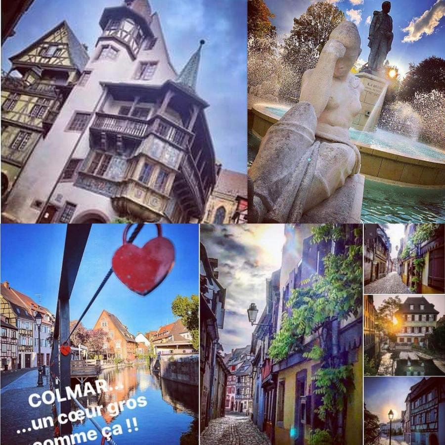 N¨°1 Schongauer Gite De Charme Centre Touristique Colmar Bagian luar foto